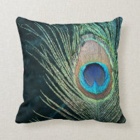 Dark Peacock Feather