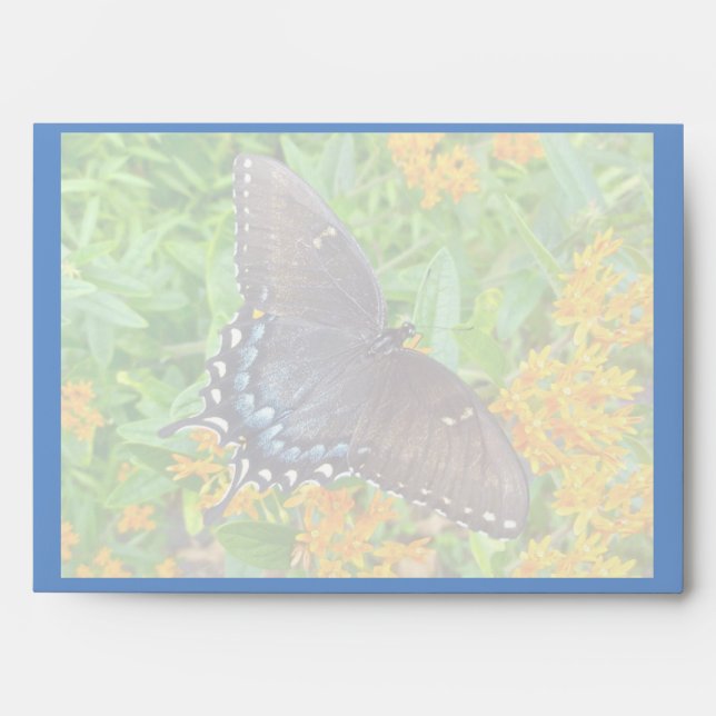 Dark Phase Tiger Swallowtail Birthday Envelope (Front)