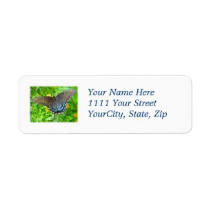 Dark Phase Tiger Swallowtail Butterfly Label
