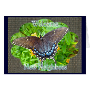 Dark Phase Tiger Swallowtail Welcome Neighbour