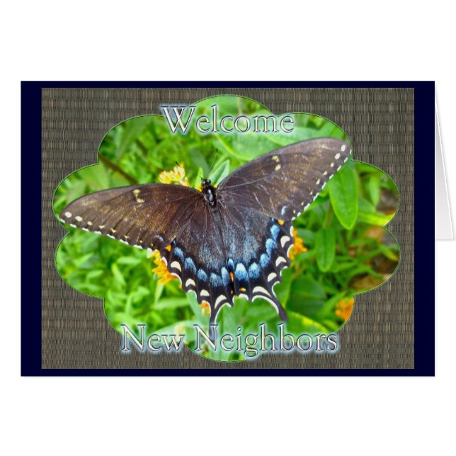 Dark Phase Tiger Swallowtail Welcome Neighbour (Front Horizontal)
