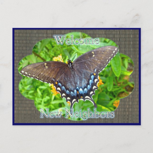 Dark Phase Tiger Swallowtail Welcome Neighbour Postcard (Front)