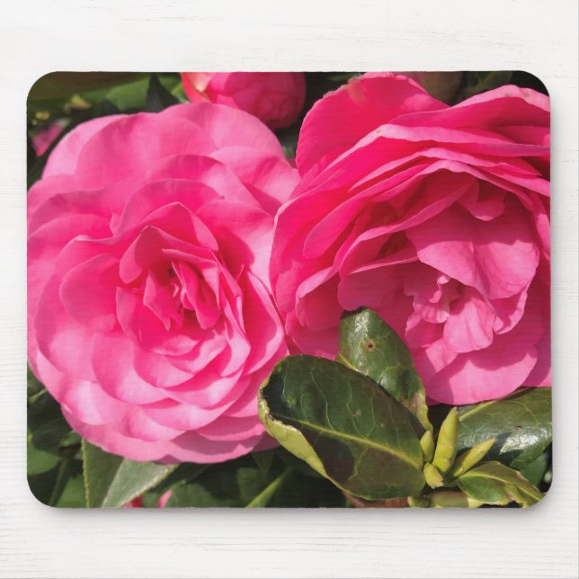 Dark pink Camellia Flowers  Mouse Mat (Front)