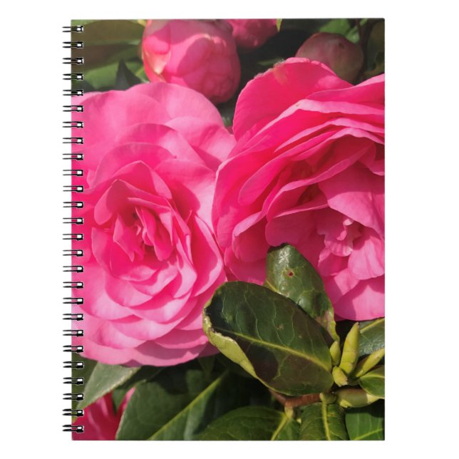 Dark pink Camellia Flowers   Notebook (Front)