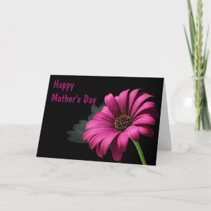 Dark Pink Chrysanthemum Mother's Day Card