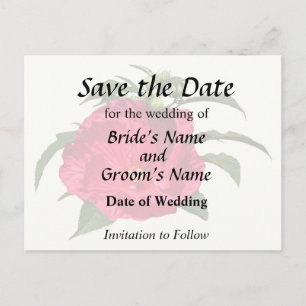 Dark Pink Hibiscus Announcement Postcard