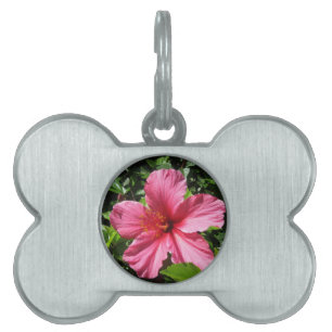 Dark Pink Hibiscus Pet Tag