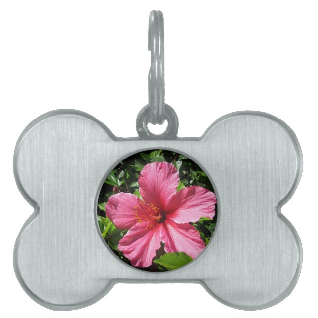 Dark Pink Hibiscus Pet Tag (Front)