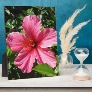 Dark Pink Hibiscus Plaque