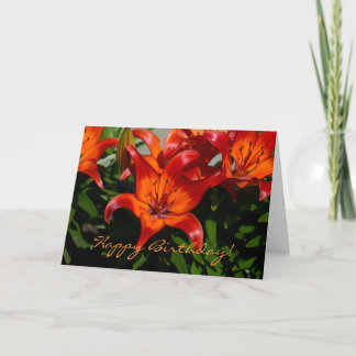 Dark-Pink Orange Lily Card