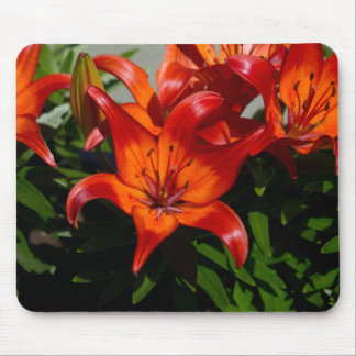 Dark-Pink Orange Lily Mouse Mat