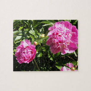 Dark pink peonies jigsaw puzzle