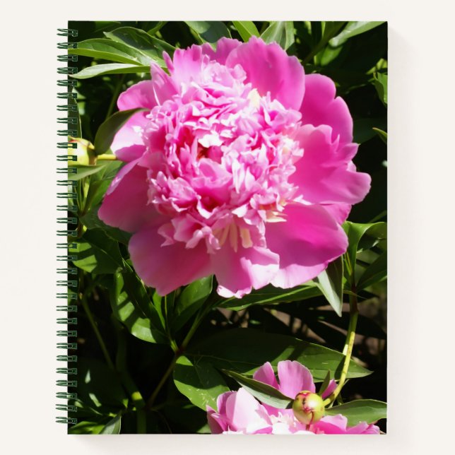 Dark pink peonies  notebook (Front)
