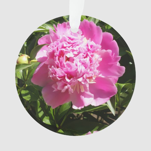 Dark pink peonies  ornament (Front)