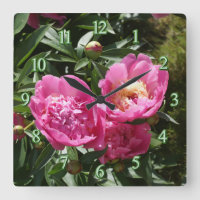 Dark pink peonies