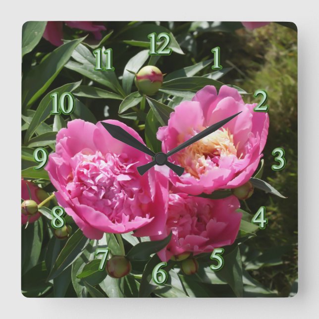 Dark pink peonies square wall clock (Front)