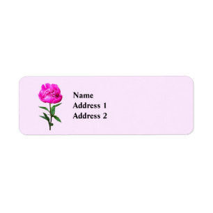 Dark Pink Peony