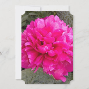 Dark Pink Peony Flower Blank Greeting Card
