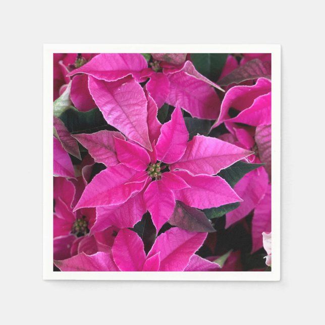 Dark Pink Poinsettia  Napkin (Front)