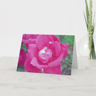 Dark Pink Rose Photo "Just Because" Card