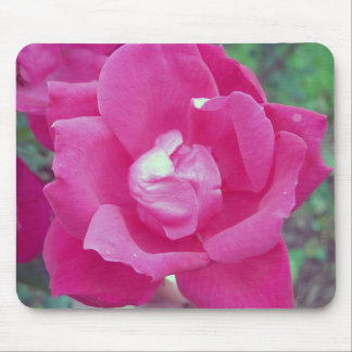 Dark Pink Rose Photo Mouse Mat