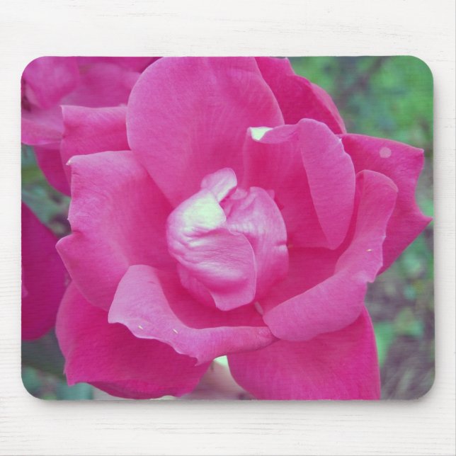 Dark Pink Rose Photo Mouse Mat (Front)