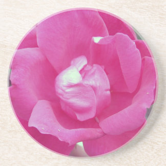 Dark Pink Rose Sandstone Coaster