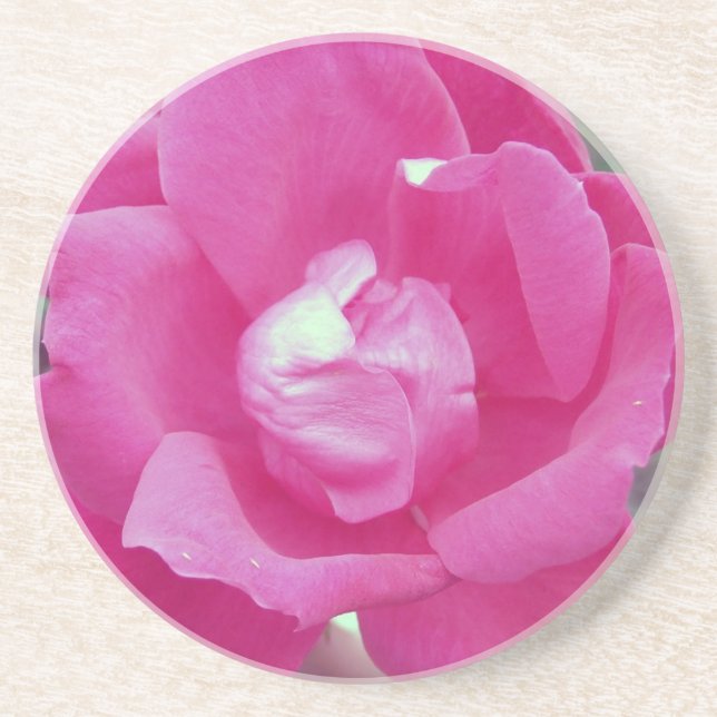 Dark Pink Rose Sandstone Coaster (Front)