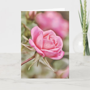 Dark Pink Rose Scripture Card 2 Corinthians 2:14