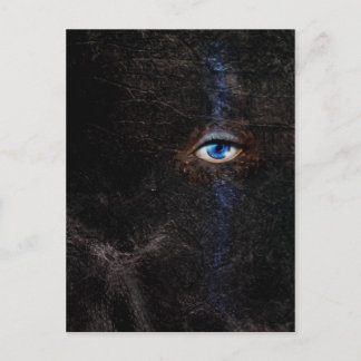 Dark Postcard