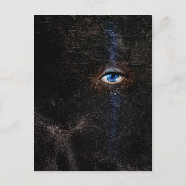 Dark Postcard (Front)