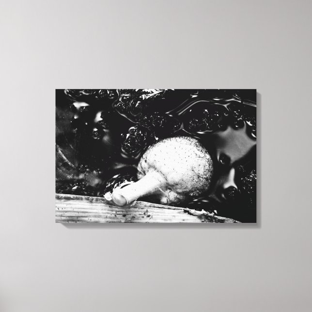 dark protector canvas print (Front)
