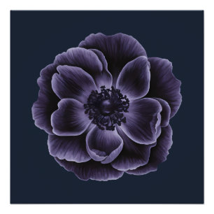 Dark Purple Bloom Botanical Art Design Poster