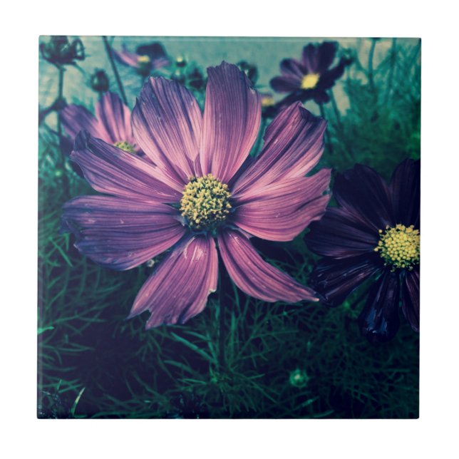 Dark Purple Flowers Photo Art Tile (Front)