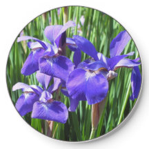 Dark Purple Irises