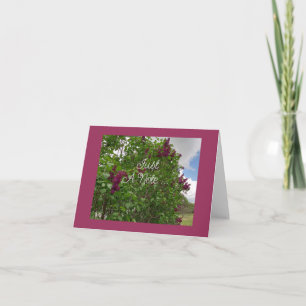 Dark Purple Lilac  Folded Greeting Card