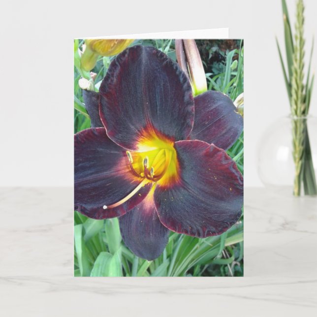 Dark Purple Lily Blank Card (Front)