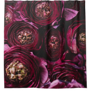 Dark Purple Ranunculus, Blossoming Close-Up. Shower Curtain