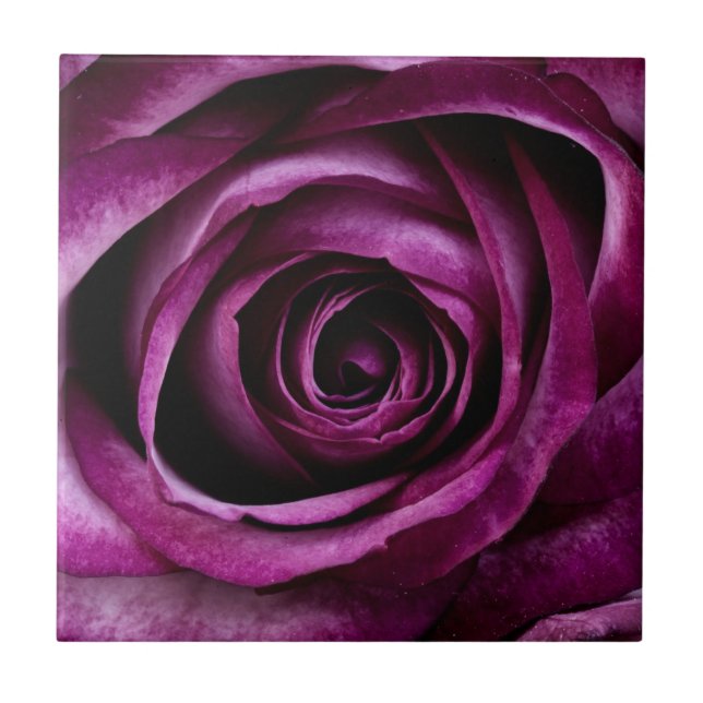 Dark Purple Rose Tile (Front)