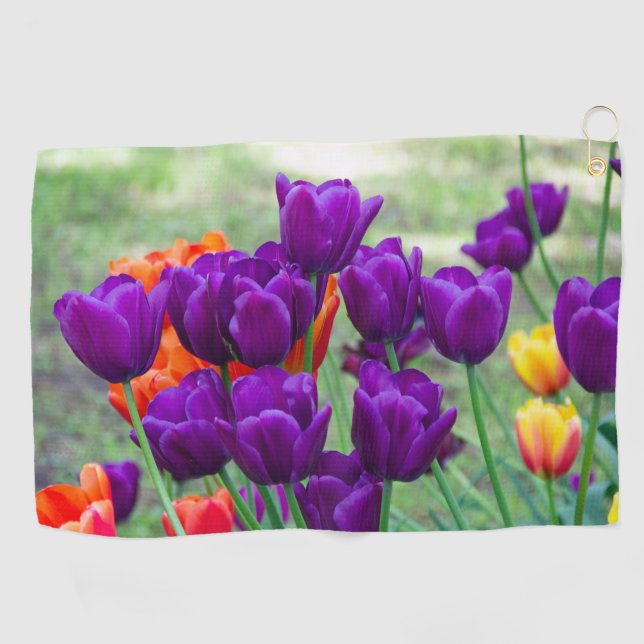 Dark purple tulips  on a sunny day in the garden   golf towel (Horizontal)