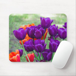 Dark purple tulips  on a sunny day in the garden   mouse mat