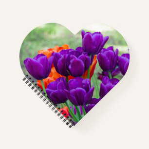 Dark purple tulips on a sunny day in the garden notebook