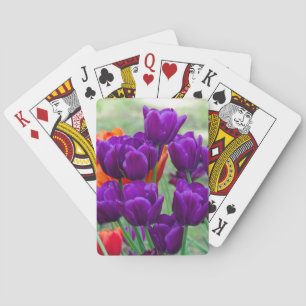 Dark purple tulips on a sunny day in the garden playing cards