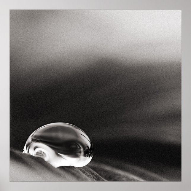 Dark Rain Poster (Front)