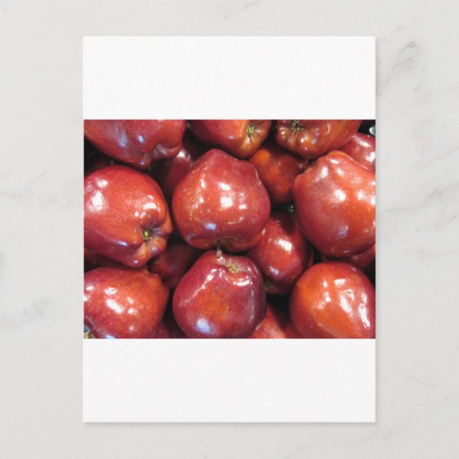 Dark Red Apples Postcard (Front)