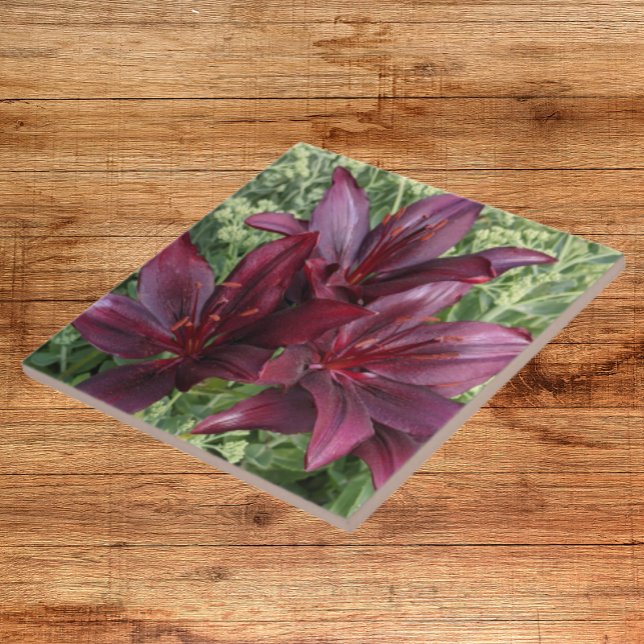 Dark Red Asiatic Lilies Floral Tile (In Situ)