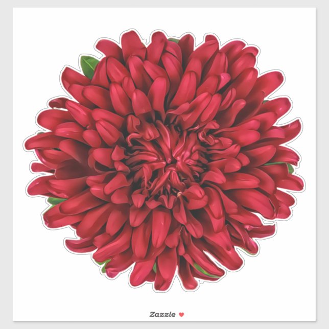 Dark Red Big Dahlia Pinnata Flower Sticker (Sheet)