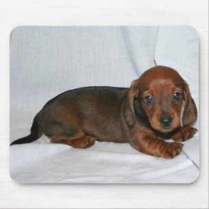 Dark Red Dachshund Puppy Mouse Mat