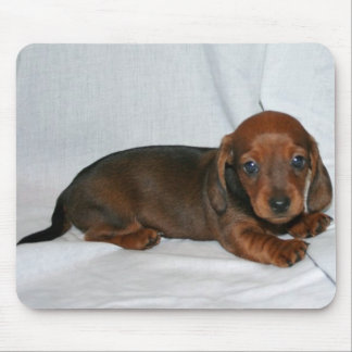 Dark Red Dachshund Puppy Mouse Mat