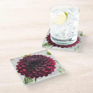 Dark Red Dahlia Bloom Floral Glass Coaster